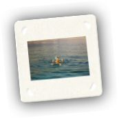 Oman_Bootstour (9).jpg